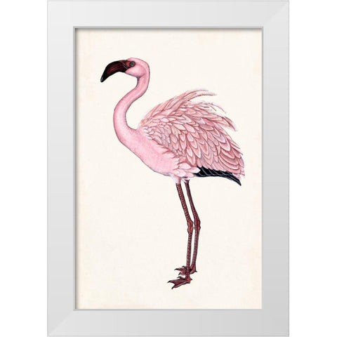 Striking Flamingo II White Modern Wood Framed Art Print by McCavitt, Naomi