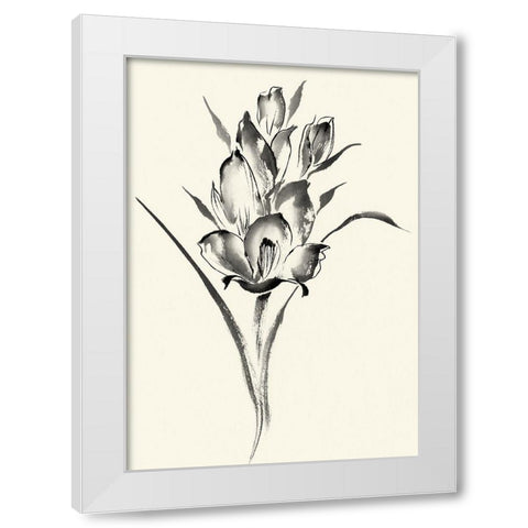 Ink Wash Floral II - Gladiolus White Modern Wood Framed Art Print by Rae, Nan