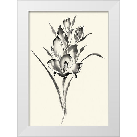 Ink Wash Floral II - Gladiolus White Modern Wood Framed Art Print by Rae, Nan