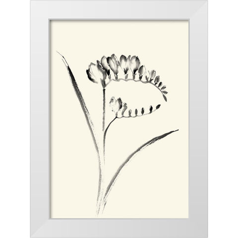 Ink Wash Floral VI - Freesia White Modern Wood Framed Art Print by Rae, Nan