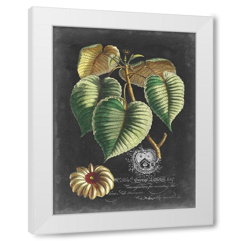 Royal Foliage I White Modern Wood Framed Art Print by Vision Studio