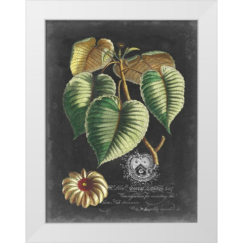 Royal Foliage I White Modern Wood Framed Art Print by Vision Studio