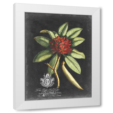 Royal Foliage III White Modern Wood Framed Art Print by Vision Studio