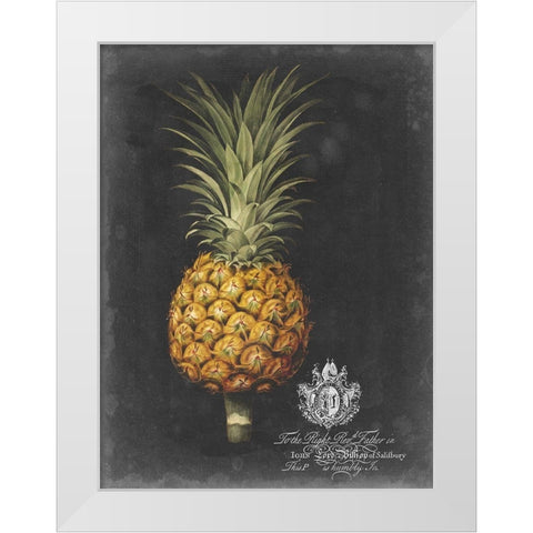 Royal Brookshaw Pineapple II White Modern Wood Framed Art Print by Brookshaw, George