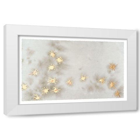 Spangled Grey I White Modern Wood Framed Art Print by Binder, Vanessa