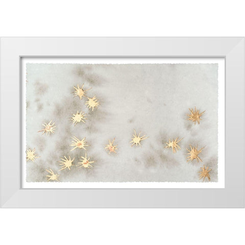 Spangled Grey I White Modern Wood Framed Art Print by Binder, Vanessa