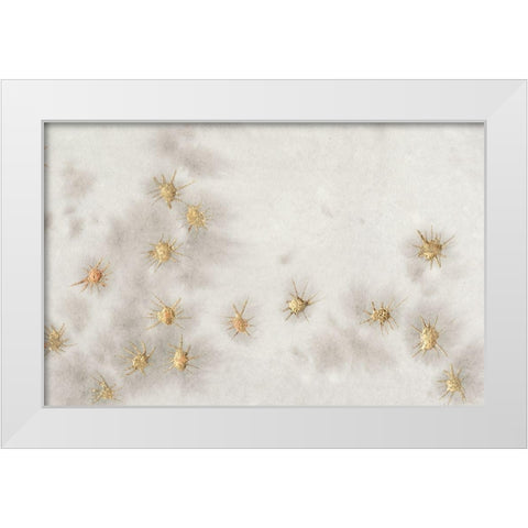 Spangled Grey I White Modern Wood Framed Art Print by Binder, Vanessa