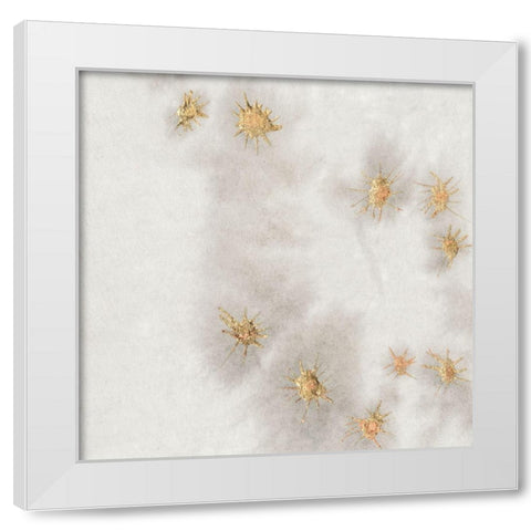 Spangled Grey II White Modern Wood Framed Art Print by Binder, Vanessa