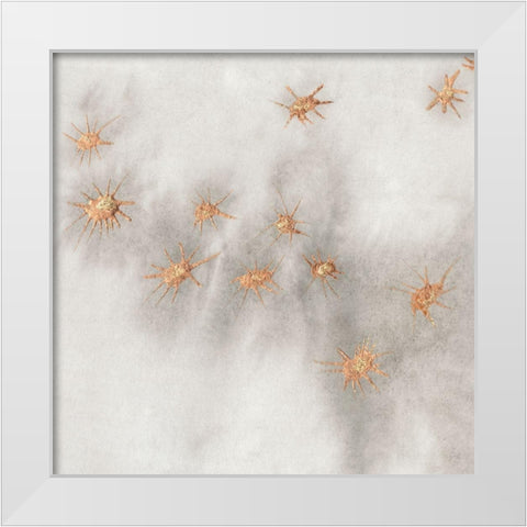 Spangled Grey III White Modern Wood Framed Art Print by Binder, Vanessa