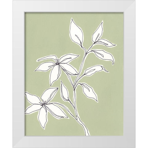 Botanic Drawing I White Modern Wood Framed Art Print by Moore, Regina