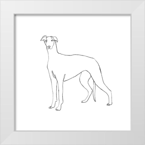 Greyhound Pencil Sketch II White Modern Wood Framed Art Print by Scarvey, Emma