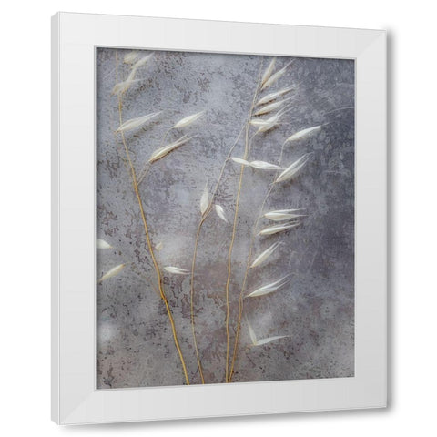 Moonlit Dream II White Modern Wood Framed Art Print by Bane, Eva