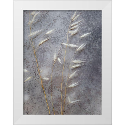 Moonlit Dream II White Modern Wood Framed Art Print by Bane, Eva