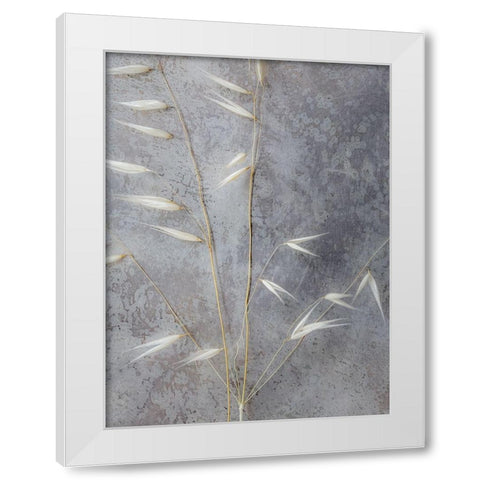 Moonlit Dream III White Modern Wood Framed Art Print by Bane, Eva
