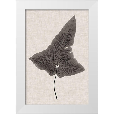 Custom Fern Family I (LG) White Modern Wood Framed Art Print by Lowe