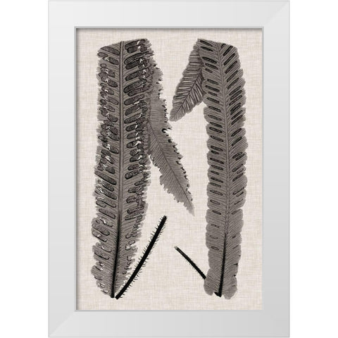 Custom Fern Family III White Modern Wood Framed Art Print by Lowe