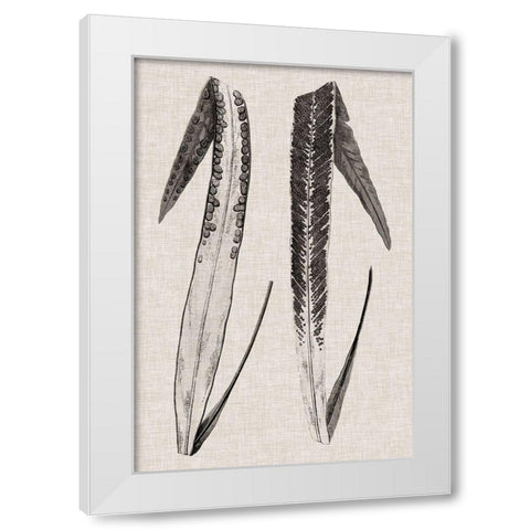 Custom Fern Family IV (LG) White Modern Wood Framed Art Print by Lowe