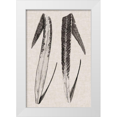 Custom Fern Family IV (LG) White Modern Wood Framed Art Print by Lowe