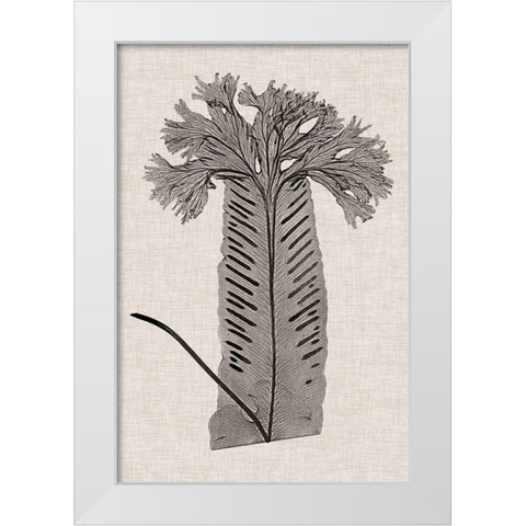 Custom Fern Family V (LG) White Modern Wood Framed Art Print by Lowe