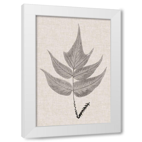 Custom Fern Family VII (LG) White Modern Wood Framed Art Print by Lowe