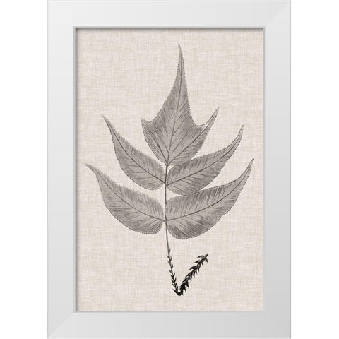 Custom Fern Family VII (LG) White Modern Wood Framed Art Print by Lowe