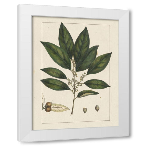 Custom Silva Leaves IV (ASH) White Modern Wood Framed Art Print by Silva, John