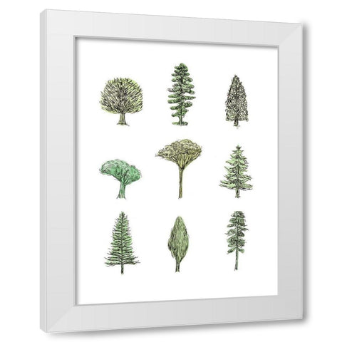 Collected Pines II White Modern Wood Framed Art Print by Wang, Melissa