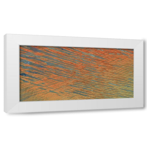 Desert Patterns I White Modern Wood Framed Art Print by Ludwig, Alicia