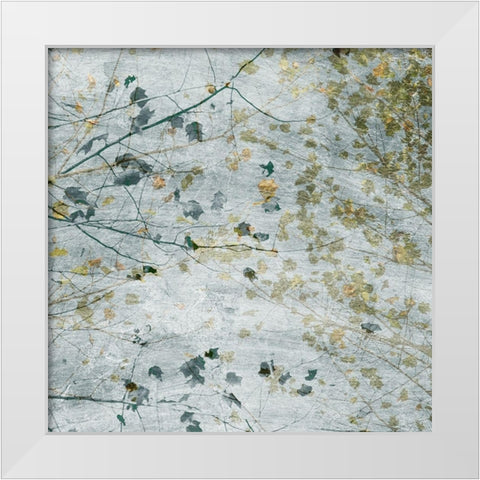 Seasonal Transition I White Modern Wood Framed Art Print by Chandler, Sharon