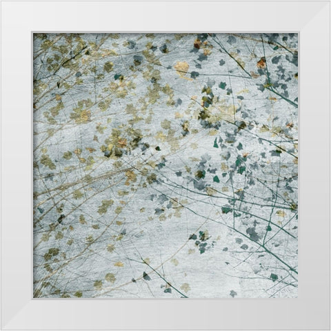 Seasonal Transition II White Modern Wood Framed Art Print by Chandler, Sharon