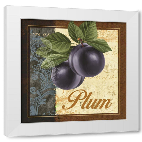 Fruit Illustration IV White Modern Wood Framed Art Print by White, Abby