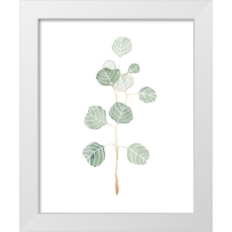 Soft Eucalyptus Branch II White Modern Wood Framed Art Print by Scarvey, Emma