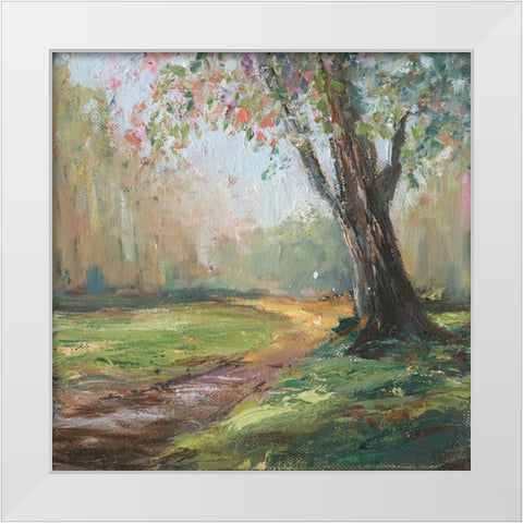 Path to the Tree II White Modern Wood Framed Art Print by Iafrate, Sandra