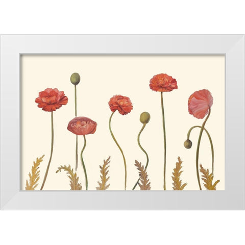Coral Poppy Display I White Modern Wood Framed Art Print by Iafrate, Sandra