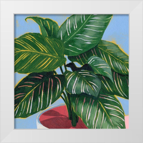 Calethea IV White Modern Wood Framed Art Print by Popp, Grace