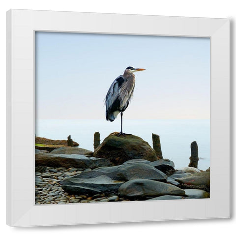 Beachscape Heron I White Modern Wood Framed Art Print by McLoughlin, James