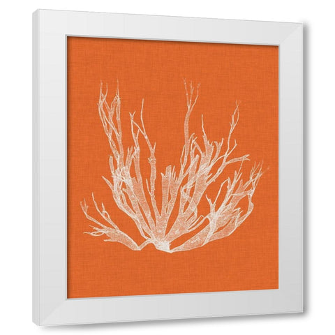 Seaweed Pop I White Modern Wood Framed Art Print by Vision Studio