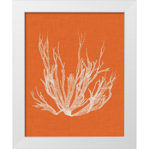 Seaweed Pop I White Modern Wood Framed Art Print by Vision Studio