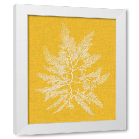 Seaweed Pop II White Modern Wood Framed Art Print by Vision Studio