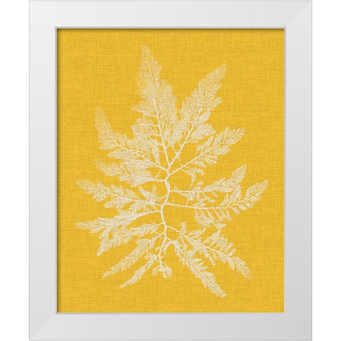 Seaweed Pop II White Modern Wood Framed Art Print by Vision Studio