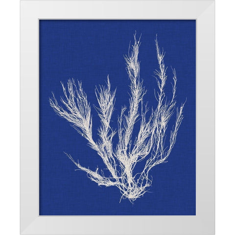 Seaweed Pop VI White Modern Wood Framed Art Print by Vision Studio