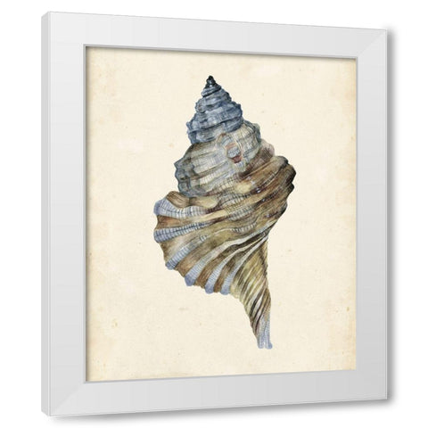 3-UP Watercolor Seashell III White Modern Wood Framed Art Print by Wang, Melissa