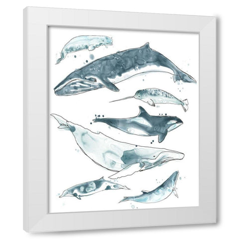 3-UP Cetacea I White Modern Wood Framed Art Print by Vess, June Erica