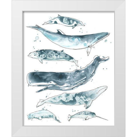 3-UP Cetacea II White Modern Wood Framed Art Print by Vess, June Erica