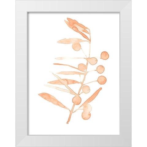Blush Olive Branch III White Modern Wood Framed Art Print by Scarvey, Emma
