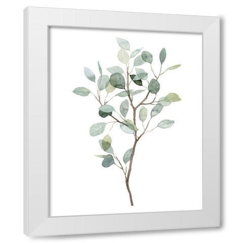 Seaglass Eucalyptus I White Modern Wood Framed Art Print by Popp, Grace