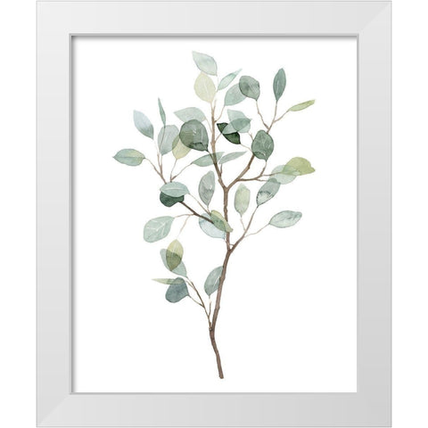 Seaglass Eucalyptus I White Modern Wood Framed Art Print by Popp, Grace