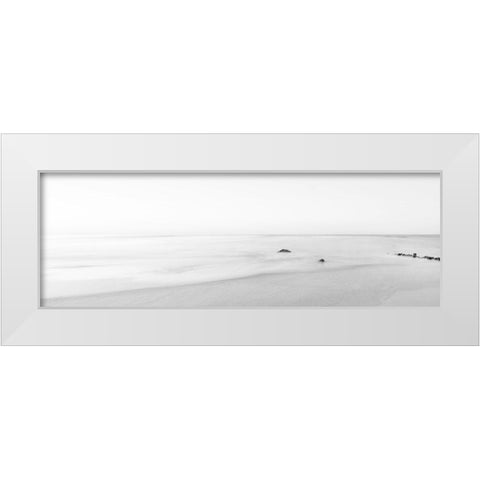 Black and White Water Panel II White Modern Wood Framed Art Print by McLoughlin, James