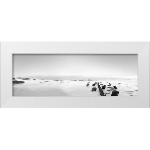 Black and White Water Panel III White Modern Wood Framed Art Print by McLoughlin, James