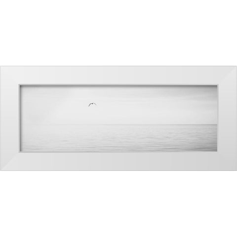 Black and White Water Panel XVI White Modern Wood Framed Art Print by McLoughlin, James
